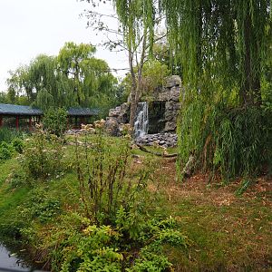 Japanese macaque exhibit, 2020-09-03