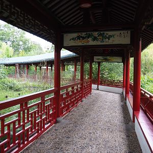 Chinese viewing corridor, 2020-09-03