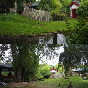 Indian hog deer, White-naped crane and Demoiselle crane exhibit, 2020-09-03