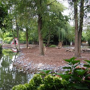 Père David's deer, Reeves's muntjac, Red-crowned crane, European white stork and Great white pelican exhibit, 2020-09-03