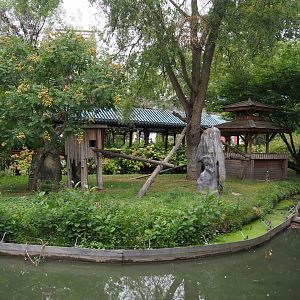 Nepalese red panda exhibit, 2020-09-03