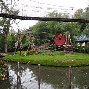 Central Chinese goral and Southern Yellow-cheeked gibbon exhibit, 2020-09-03