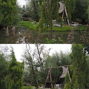 Central Chinese goral and Southern Yellow-cheeked gibbon exhibit, 2020-09-03