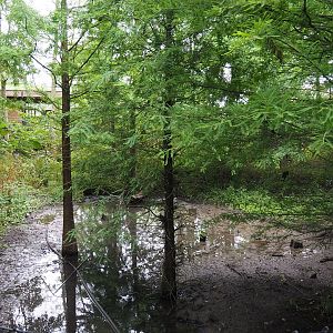 Siberian crane exhibit, 2020-09-03