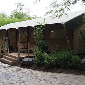 Panda shop tent, 2020-09-03