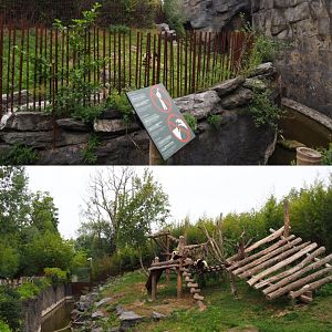 First Giant panda exhibit - Hao Hao, Bao Di and Bao Mei, 2020-09-03