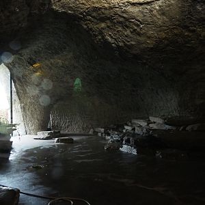 First Giant panda indoor exhibit, 2020-09-03