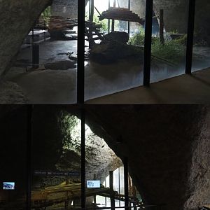 Second Giant panda indoor exhibit, 2020-09-03