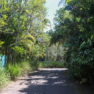 Pathway to Rainforest Aviary