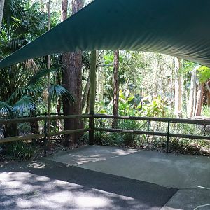 Black-necked Stork Enclosure - Viewing Area