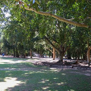 Roo Heaven - Macropod Walkthrough Enclosure