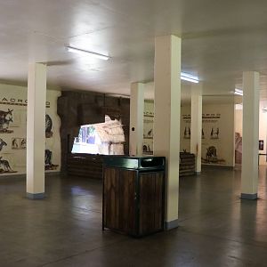 Roo Heaven - Indoor Echidna Area