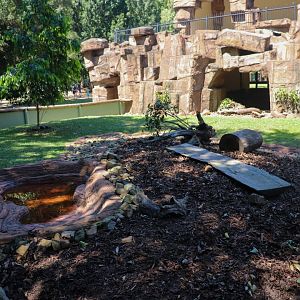 Roo Heaven - Echidna Enclosure