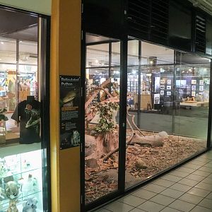 Reticulated Python Enclosure