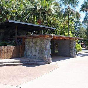 Binturong Enclosure