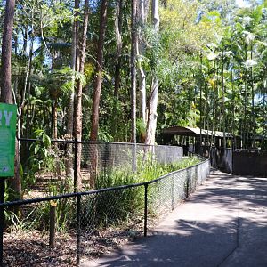 Cassowary Enclosures