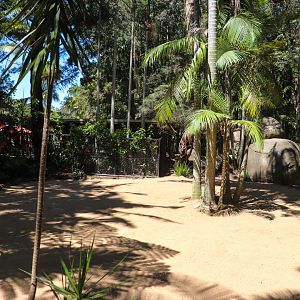 Dingo Enclosure
