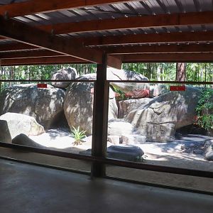 Dingo Enclosure - Viewing Window