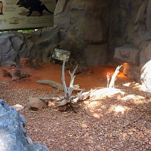 Shingleback Enclosure