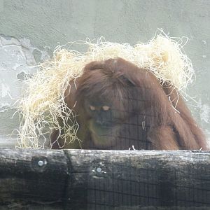 It's a long, hard life...