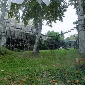 Gorilla outdoor part 1.