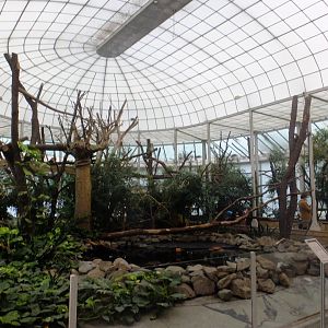 Free-roaming hall of Madagascar House