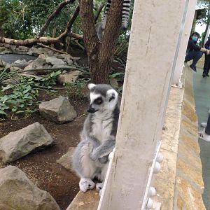 I want to hide from these scarry humanoids!