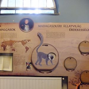 Educational sign about Madagascar