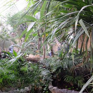 America Tropicana main hall