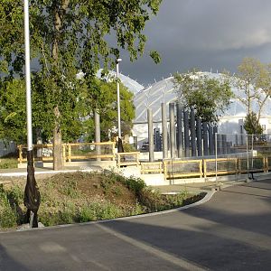 Future Indian elephant herd paddock