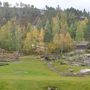 Pet Farm. The white fences, which going up in mountains are the Wolf enclosure borders.