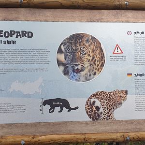 Amur Leopard signage
