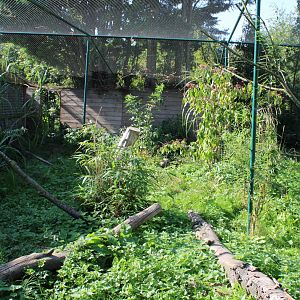 View into the Serval-enclosure