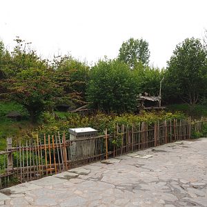 Second Giant panda exhibit - Xing Hui, 2020-09-03