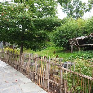 Second Giant panda exhibit - Xing Hui, 2020-09-03