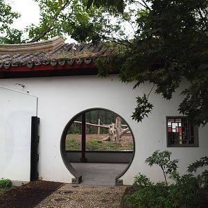 Asiatic black bear viewing pavilion, 2020-09-03