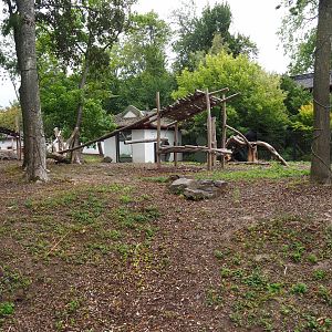 Asiatic black bear exhibit, 2020-09-03