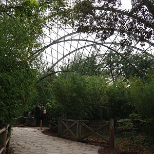Access to giant walk-through aviary, 2020-09-03