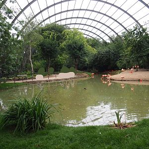 View in renovated giant walk-through aviary, 2020-09-03