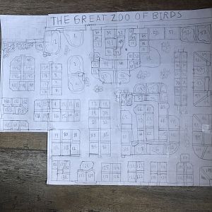 The Great Zoo Of Birds