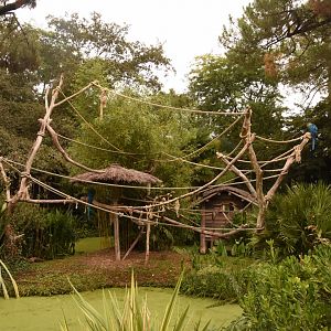 More macaws on sticks