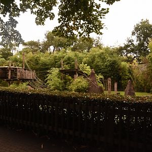 Chimpanzee enclosure