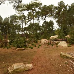 New Polar Bear enclosure extension