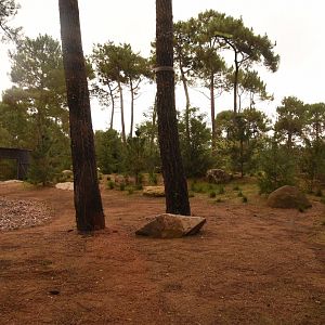 New Polar Bear enclosure extension