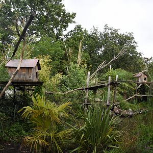 Red Panda & Small-clawed Otter enclosure