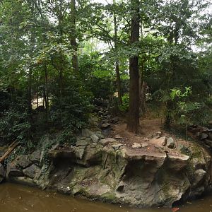 Kamchatka Brown Bear enclosure