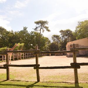 Giraffe enclosure