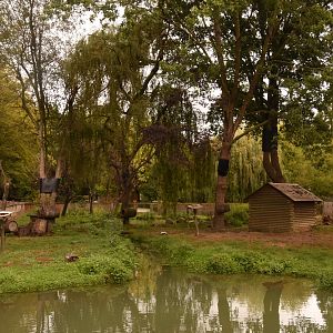 Canadian Beaver, Striped Skunk & Raccoon enclosure