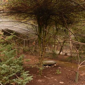 African birds aviary