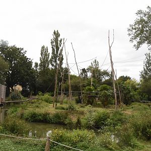 White-handed Gibbon island (with extension to nearby trees)